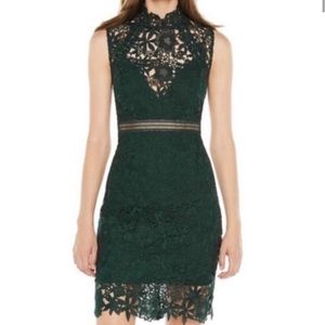 Bardot Floral Lace Sheath Dress Forrest Green 6/S